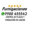 Foto de Fumigaciones en Cancun